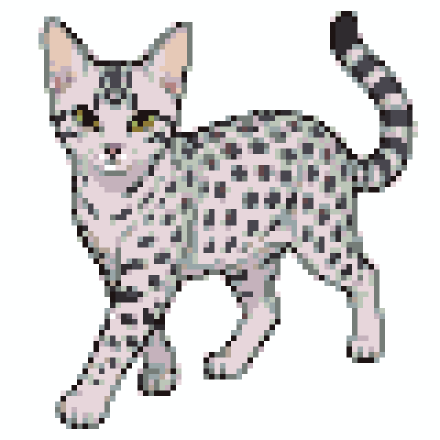 埃及猫拼豆图纸