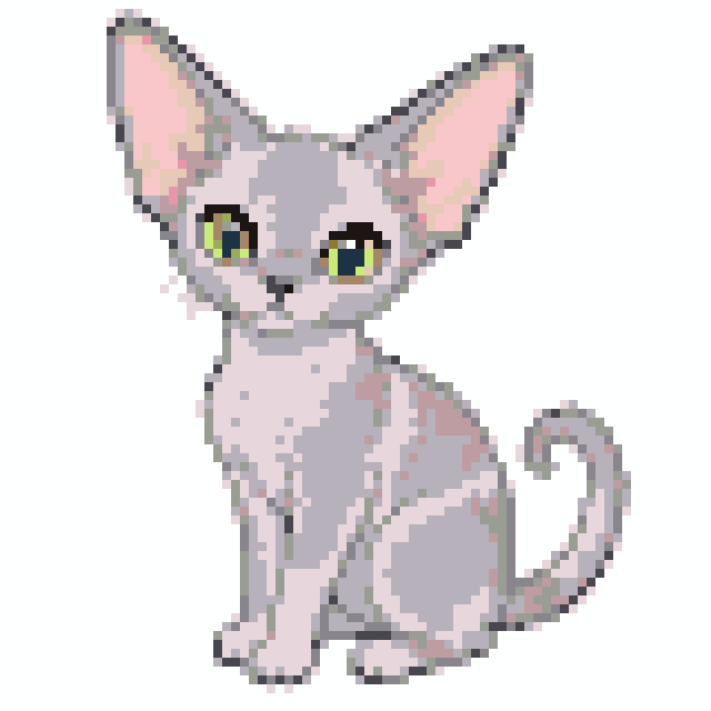 德文卷毛猫拼豆图纸